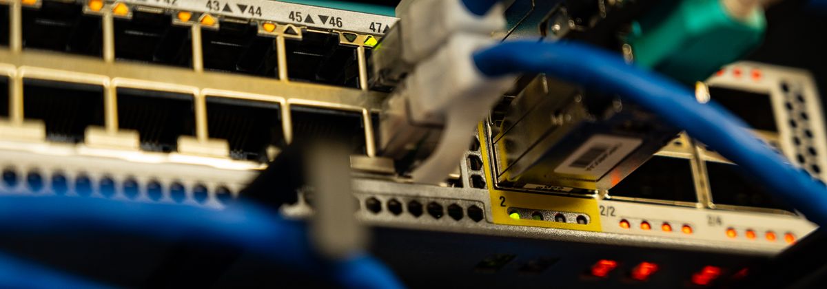 Ethernet cables plugged into a network switch panel in a data centre