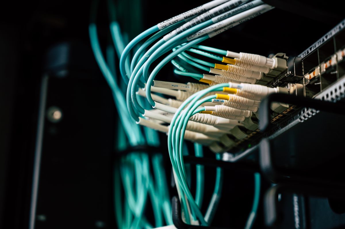 Network cables plugged into a server rack in a data centre